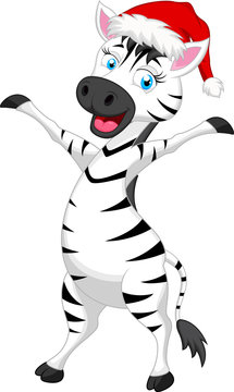 Zebra cartoon with christmas hat