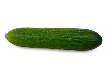 fresh cucumber