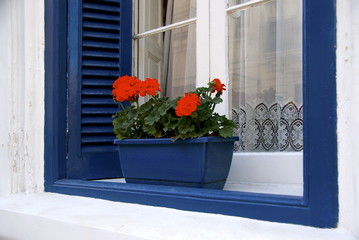 Blue window