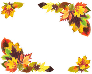 Obraz premium Frame of beautiful colored autumn leaves isolated on white