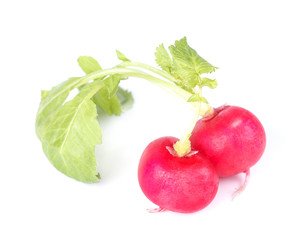 ripe radish