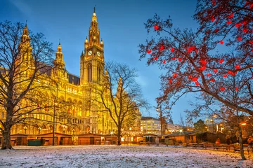 Foto auf Alu-Dibond Wiener Rathaus © sborisov