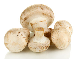 Fresh mushrooms isolated on white