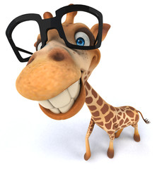 Giraffe © Julien Tromeur