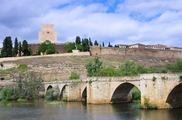 Fototapeta premium Ciudad Rodrigo 06