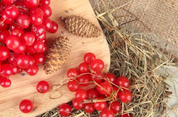 Fototapeta na wymiar Red berries of viburnum