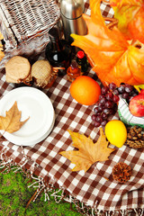 Outdoors picnic close up