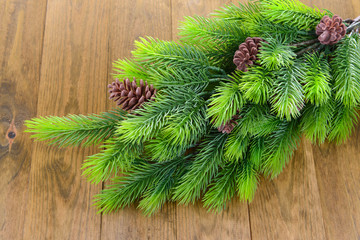 Christmas tree branch on wooden background