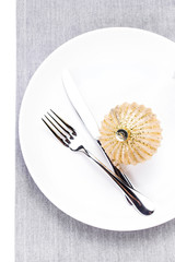 Elegant Christmas table setting with festive decorations on whit