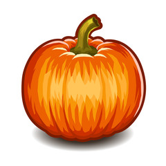 Pumpkin isolated on white background. .