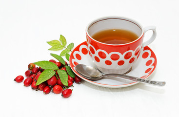 Infusion of a shipolnik