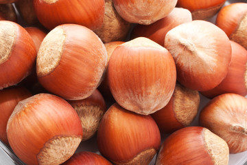 Hazelnuts or filbert