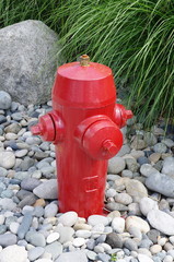 Fototapeta na wymiar Fire hydrant in garden