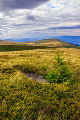 stone on mountain slope with forest