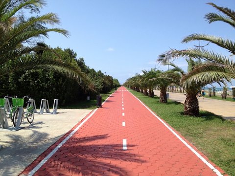 Road