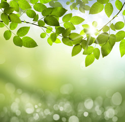 natural green background with selective focus