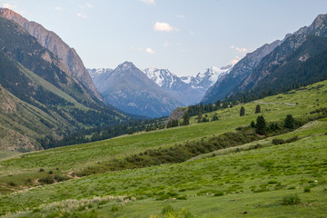 Fototapeta na wymiar Mountain landscape. Tien Shan, Kirghizia