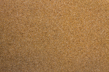 Wet sand texture