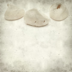 textured old paper background