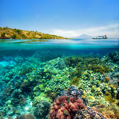 Beautiful Coral reef on background of cloudy sky and volcano © soft_light