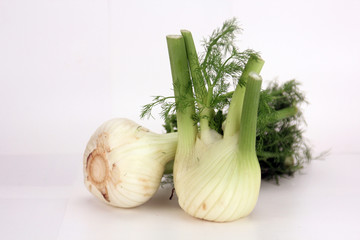 fenchel