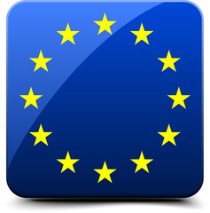 European Union button