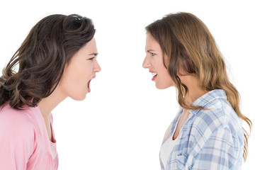 Angry young female friends having an argument