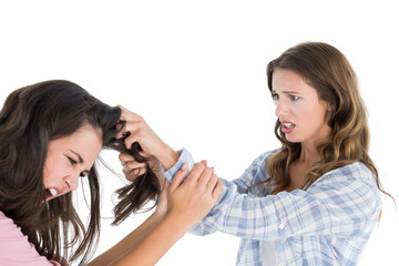 Angry young woman pulling female's hair in a fight