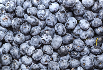 blueberry background