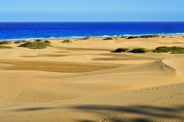 Fotobehang Natural Reserve of Dunes of Maspalomas, in Gran Canaria, Spain © nito