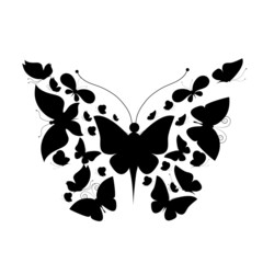 butterflies design