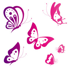 butterflies design