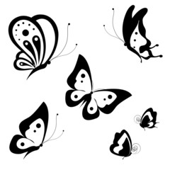 butterflies design