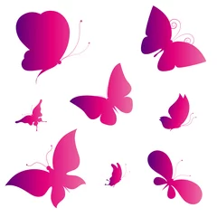Raamstickers Vlinders vlinders ontwerp