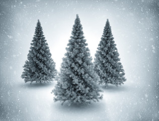 Obraz premium Snowy Christmas Trees