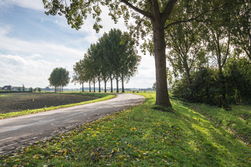 Curved country road in a rural landscape