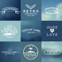 Vintage Vector Badges