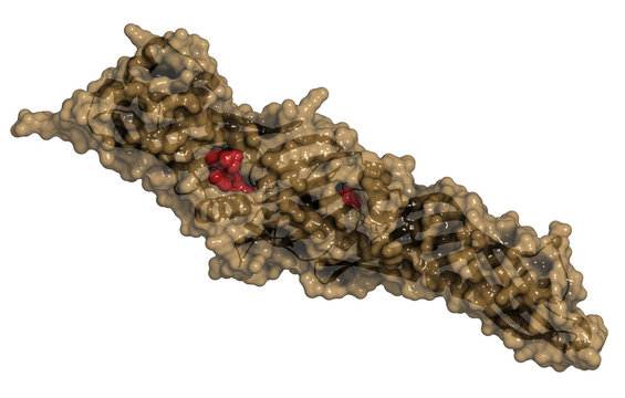 Cholesteryl ester transfer protein (CETP).