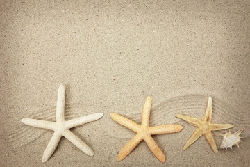 Fototapeta na wymiar starfish and shells with frame on the beach, vacation memories