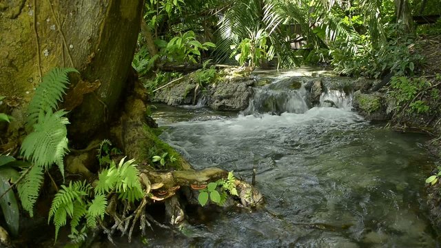 Waterfall at Khao Pra - Bang Kram Wildlife Sanctuary, Thailand