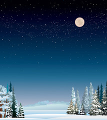 Fototapeta premium Winter landscape.