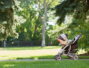 Baby Stroller In Park