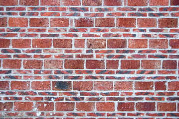 red brick wall, square format