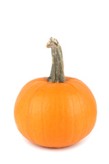 Pumpkin on white background