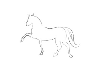 Horse silhouette