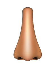 Human nose
