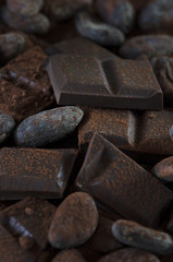 Schokolade mit Kakaobohnen und Kakaopulver