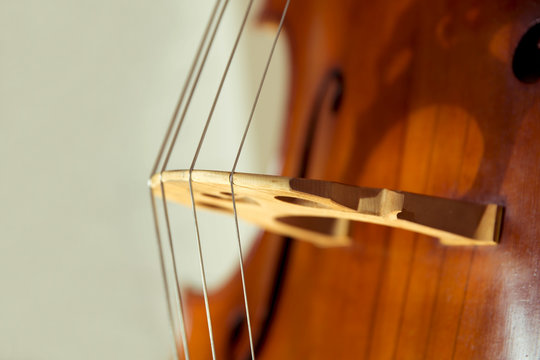 Double bass