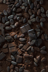 Schokolade mit Kakaobohnen und Kakaopulver