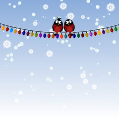 Two bullfinch on a Christmas garland